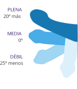 Fases Qué es la disfunción eréctil Boston Medical Group España