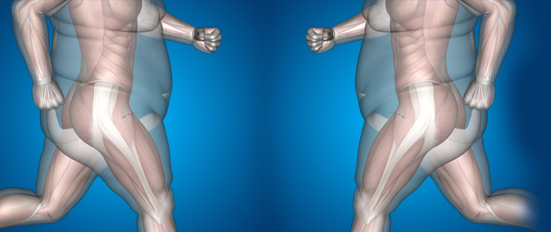 La grasa abdominal es un predictor de los problemas de erecci n