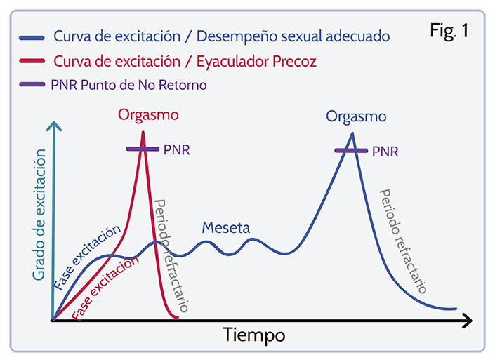 Curva de excitacion, eyaculcion precoz