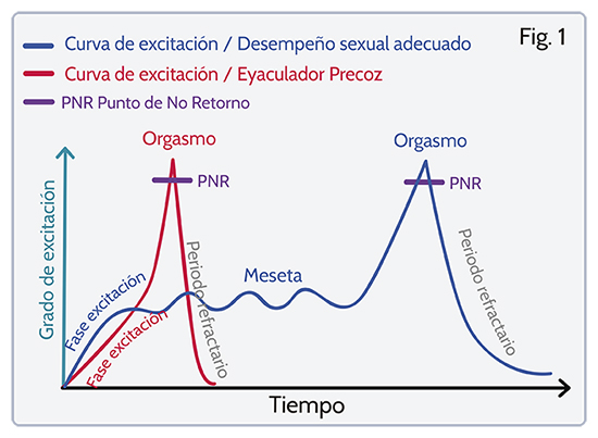 Curva de excitacion, eyaculcion precoz